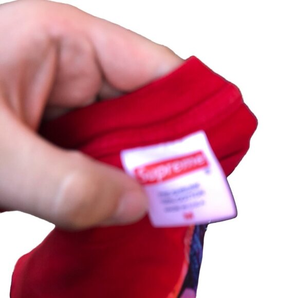 Supreme Bloom Long Sleeve Shirt F17 - Picture 3 of 5